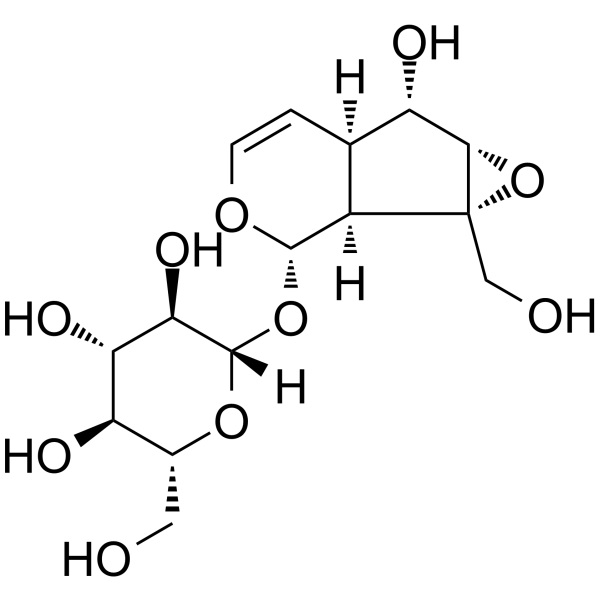 Catalpol CAS 2415-24-9 Purity ≥98.0% (HPLC) Factory