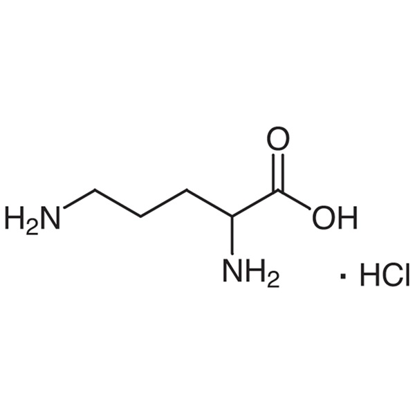 DL-Ornithine Monohydrochloride CAS 1069-31-4 Purity >99.0% (Titration)