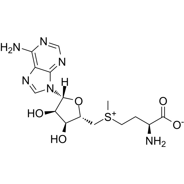 S-Adenosyl-L-Methionine (Ademetionine; SAMe) CAS 29908-03-0